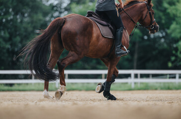Close-up of a horse and rider galloping in an outdoor arena at a ranch, showcasing dynamic movement...