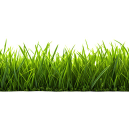 Green grass frame isolated on transparent background