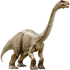 Obraz premium tyrannosaurus rex dinosaur