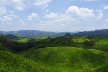 Fototapeta premium Hills Landscape Background