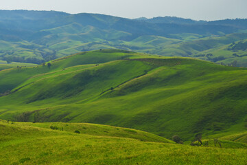Fototapeta premium Hills Landscape Background
