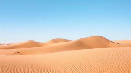 Desert Dunes Under a Clear Sky