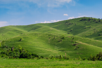 Fototapeta premium Hills Landscape Background