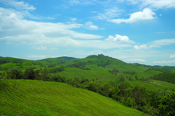 Fototapeta premium Hills Landscape Background