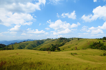 Naklejka premium Hills Landscape Background