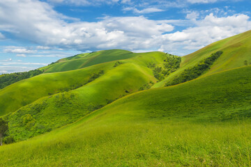 Fototapeta premium Hills Landscape Background