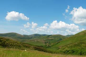 Naklejka premium Hills Landscape Background