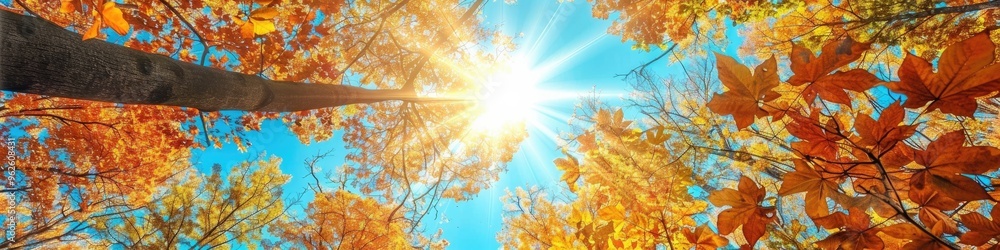 Poster sunlight filtering through autumn trees in a serene forest atmosphere