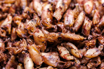 Close-up of grilled squids, showcasing their tender texture and smoky char. A delicious seafood dish often found in street food markets or seafood restaurants.