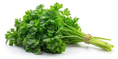 Fresh parsley herb isolated on alpha background, parsley, fresh, herb, green, isolated, alpha background, ingredient