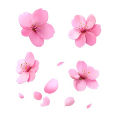 Fototapeta premium pink cherry blossom 3d render icon isolated on transparent background cutout