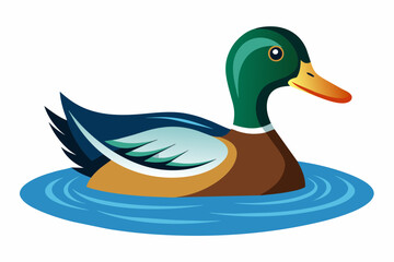  Duck swimming white background vector art illustration