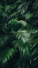 A dense arrangement of lush green palm leaves creating a tropical ambiance.