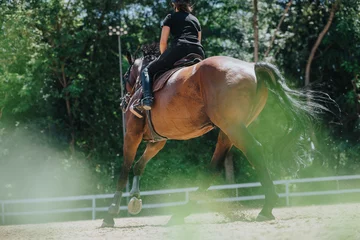  Equestrian riding a horse in a sunny outdoor arena, showcasing the dynamic movement and connection between rider and horse in a natural setting. © qunica.com