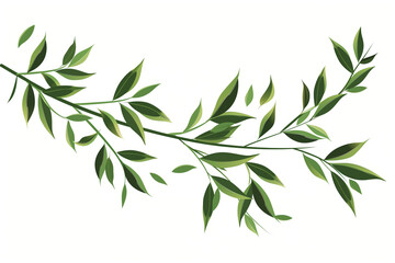 green leaves isolated on white