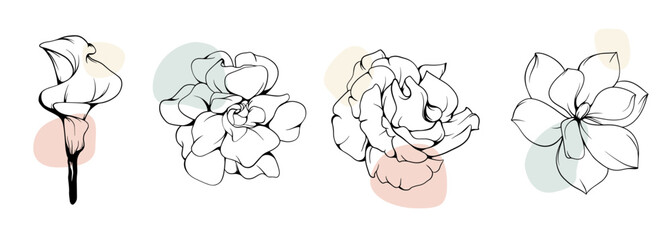 Hand drawn a set of beautiful flowers 1