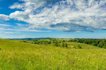 Fototapeta premium Meadow Landscape Background