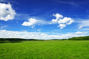Meadow Landscape Background
