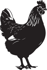 A Hen silhouette Illustration vector .