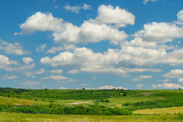 Naklejka premium Meadow Landscape Background