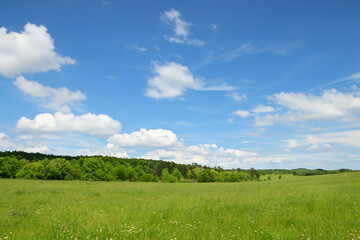 Obraz premium Meadow Landscape Background