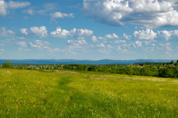 Obraz premium Meadow Landscape Background