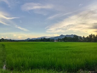 sunset over the river