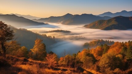 Misty Mountain Sunrise with Autumn Foliage