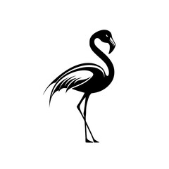 Minimalist black and white flamingo logo design, Stylized black and white flamingo logo illustrations featuring sleek lines and elegant curves, ideal for branding or design projects.
