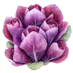 Obraz premium Vibrant purple cabbage cluster showcasing lush, layered leaves, perfect for fresh food displays or culinary-themed projects.