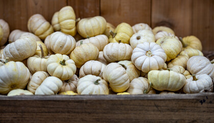 Halloween pumpkin decorations. Pumpkin for decorated house. Halloween Decorated at front yard of a American home. Halloween decorated front door with pumpkins. Autumn holiday of Halloween.