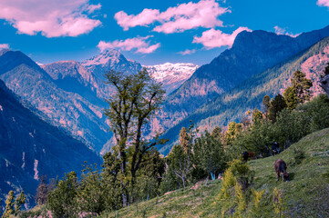 View of the mountains. Dodra and Kwar are two beautiful scenic villages in a remote part of the Himalayas in Himachal Pradesh (India). It is situated at a height of 2500 mts, above sea level.