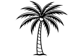 Obraz premium Coconut tree vector art illustration