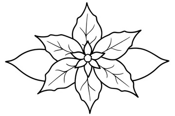 Collection of Christmas floral wreaths. Set of round frames for modern design for Holidays invitation card, poster, banner, postcard, packaging, greeting card, print. Romantic floral hand drown frame