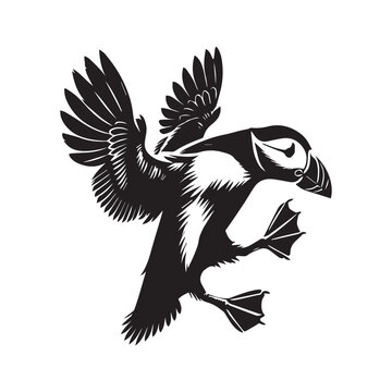 recommend clip art: Atlantic puffin silhouette - Fratercula arctica Clipart - Atlantic puffin Bird Vector Illustration