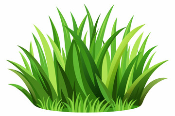 Grass drawing white background vector art illustration