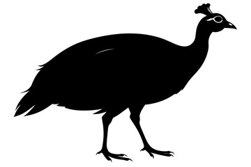 Guinea fowl silhouette black color vector art illustration