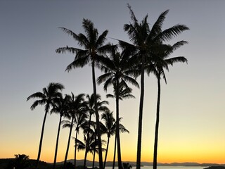 Island sunset with palm trees