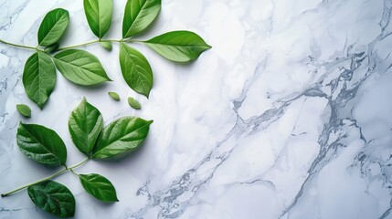 Promotional products display with green leaves on marble board against light background. Top view with space for text.