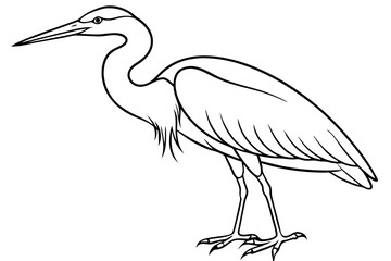 heron line art, heron bird vector illustration, heron bird outline icon
