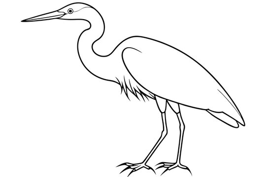 recommend clip art: heron line art, heron bird vector illustration, heron bird outline icon
                    