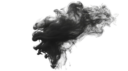 Fototapeta premium Abstract Black and White Smoke Illustration with Glitch Effect