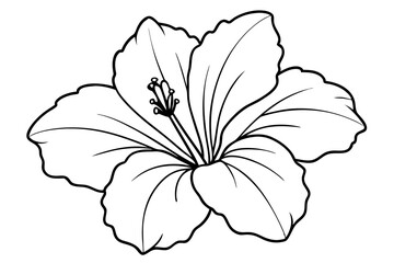 hibiscus line art, hibiscus flower line art vector illustration, hibiscus flower Svg  © Trendy CraftSVG 
