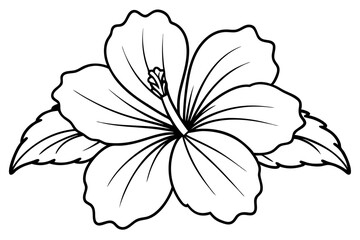 hibiscus line art, hibiscus flower line art vector illustration, hibiscus flower Svg
