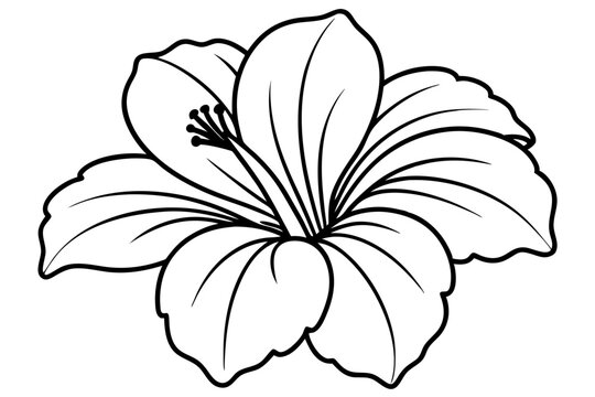 recommend clip art: hibiscus line art, hibiscus flower line art vector illustration, hibiscus flower Svg
                    