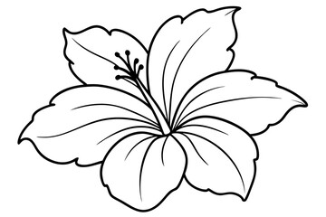 hibiscus line art, hibiscus flower line art vector illustration, hibiscus flower Svg  © Trendy CraftSVG 