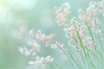 Fototapeta premium Delicate Pink Flowers in a Soft Green Field