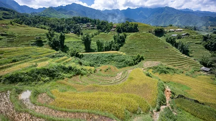 Fototapeten Reisfelder Landscape with green and yellow rice terraced fields and cloudy sky in North Vietnam  © Hans Gert Broeder