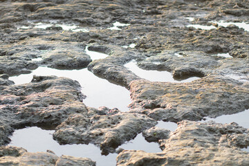 Textured Rocky Terrain with Shallow Water Pools