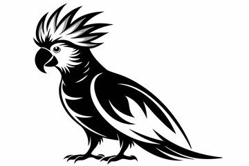 Cockatiel silhouette vector illustration, Cockatoo bird